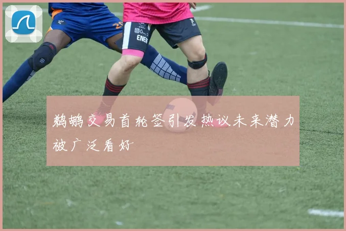 鹈鹕交易首轮签引发热议未来潜力被广泛看好